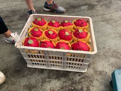 -西郊国际农产品交易中心