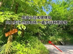 -龙窝子