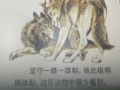 -大庆市博物馆