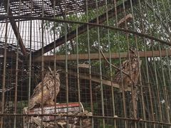-沈阳森林动物园