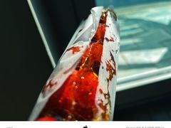 -和禄德冰糖葫芦