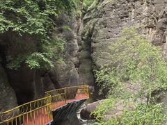 -小五台金河景区