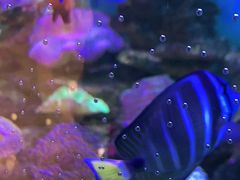 -碧中海汤泉汗蒸酒店