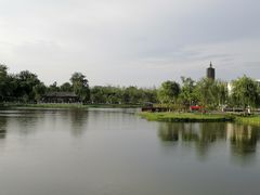 -西海子公园