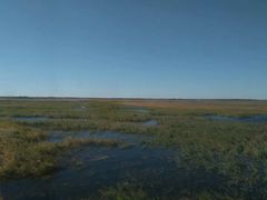 -三江平原湿地宣教馆