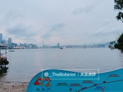 -鲤鱼门海鲜街
