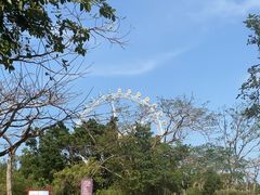 -白沙门生态公园