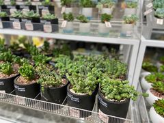 -KKV(重庆东原悦荟主力店)