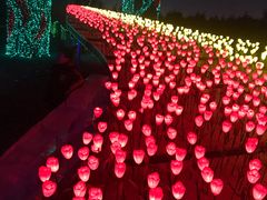 -长春公园(普阳街道)