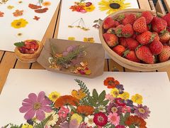 -菲尔雪CAKE(九方店)