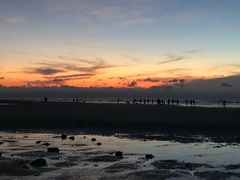 -贝壳沙滩