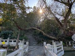 -汇龙潭