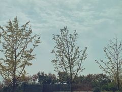 -南通滨江洲际酒店-东厨中餐厅