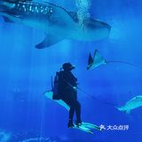 🐳长隆海洋王国的正确解锁方式