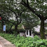 位于黄酒博物馆附近，环城北路上，无意间在那边停了下车
