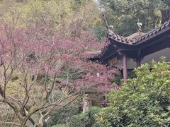 -杭州黄龙洞