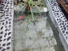 -丽江庭院之爱在路上(西单店)