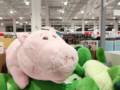 -赛格电子市场(华强北路店)