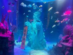 -沈阳海洋探索中心