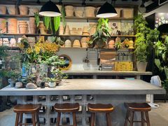 -自由生长植物工作室(深港花卉中心店)
