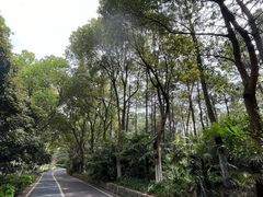 -新洲生态园