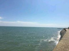 -北海金海湾红树林生态旅游区