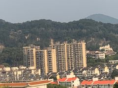 -福道