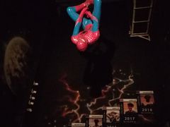 -彩虹云霄拜约克摩天塔