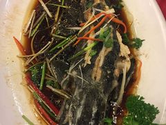 -大鹅岛绿色生态美食园