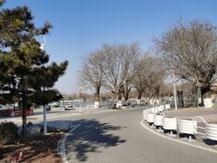 -石家庄市植物园