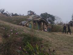 -大塘金香草谷