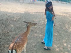 -北京麋鹿生态实验中心