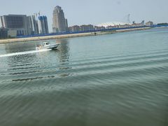 -海河外滩公园