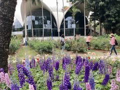 -人民公园(罗湖区)