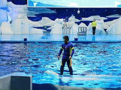 -福州罗源湾海洋世界旅游区