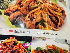 -喀什骑仕大观园
