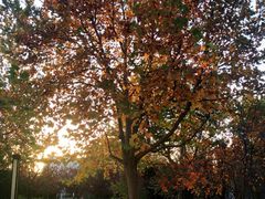 -北京国家会计学院