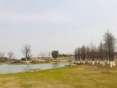 -滆湖低碳生态公园
