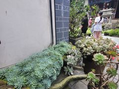 -寂照庵