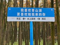 -青山湖景区