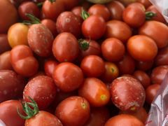 -洪湖家庭农场·团建·露营·会议