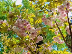 -长白岛森林公园