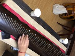 -音歆国艺馆·民乐培训(双榆树店)