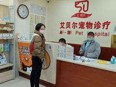 -艾贝尔宠物诊疗