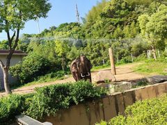-宁波野生动物园