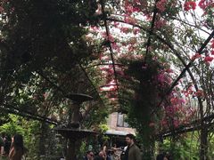 -The Grounds of Alexandria