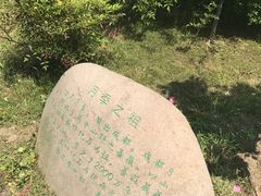 -鹅湖玫瑰文化园