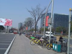 -大宁郁金香公园-停车场