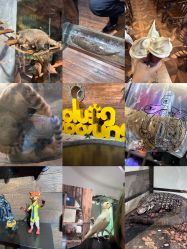 -Zoolung Zoolung动物主题公园(海信广场店)