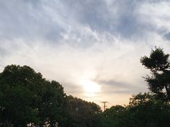 -春花秋色城市公园